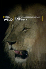 Imagen de Los depredadores más letales de África  - 1
