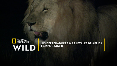 Imagen de Los depredadores más letales de África  - 2