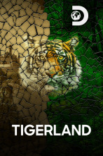 Tigerland