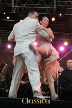 Imagen de Noche de Tango desde Buenos Aires - 1