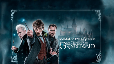 Imagen de Animales fantásticos: Los crímenes de Grindelwald - 3