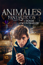 Animales Fantásticos y Dónde Encontrarlos