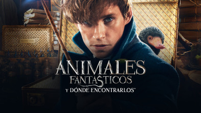 Animales Fantásticos y Dónde Encontrarlos