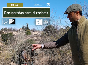 Imagen de Recuperadas para el reclamo - 2