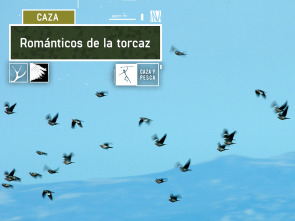 Imagen de Románticos de la torcaz - 2