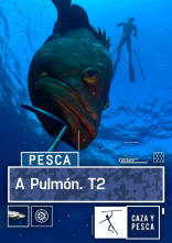 Imagen de A Pulmón (T2) - 1