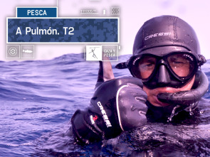 Imagen de A Pulmón (T2) - 2