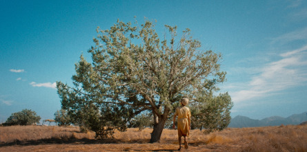 Imagen de (LSE) - The... (T2): Ep.4 (LSE) - La ocasión perfecta - 2