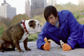 Imagen de Little Nicky - 11