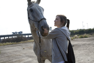 Imagen de Fish Tank - 12