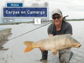 Carpas en  Camarga