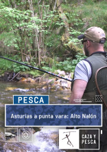 Imagen de Asturias a punta vara: Alto Nalón - 1