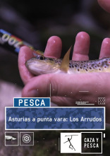 Imagen de Asturias a punta vara: Los Arrudos - 1