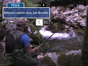 Imagen de Asturias a punta vara: Los Arrudos - 2