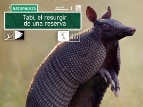 Imagen de Tabi, el resurgir de una reserva - 2