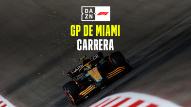 GP de Miami (Miami): GP de Miami: Carrera