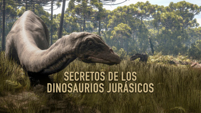 Secretos de los dinosaurios jurásicos 