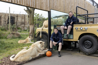 One Zoo Three: Día de deporte