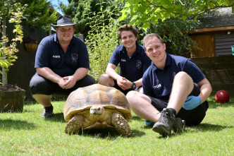 Imagen de One Zoo Three: Leyendas del zoo - 2