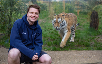 Imagen de One Zoo Three: Animales alfa - 4