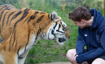 Imagen de One Zoo Three: Animales alfa - 5