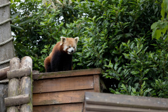 Imagen de One Zoo Three: Madrazas - 3
