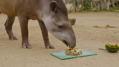 Imagen de One Zoo Three: Zoo europeo - 4