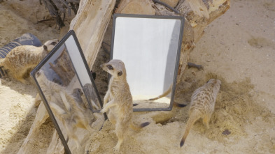 Imagen de One Zoo Three: Zoo europeo - 5