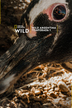 Imagen de Wild Argentina  - 1