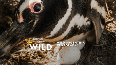 Imagen de Wild Argentina  - 2