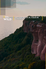 Imagen de Arca de roca: El viaje de Cerdeña - 1