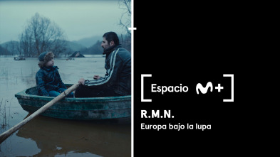 Espacio M+ (T1): R.M.N. Europa bajo la lupa