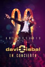 Imagen de David Bisbal en concierto. 20 aniversario - 1