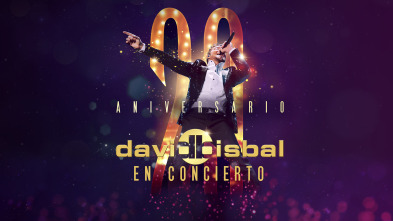 David Bisbal en concierto. 20 aniversario