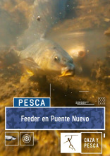 Imagen de Feeder en Puente Nuevo - 1