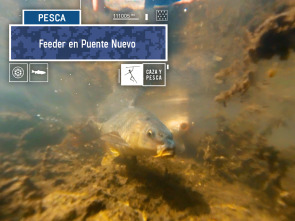 Feeder en Puente Nuevo