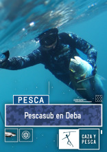Imagen de Pescasub en Deba - 1