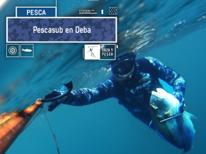 Imagen de Pescasub en Deba - 2
