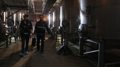 Imagen de CSI: Vegas (T2): Ep.20 Juego explosivo - 1