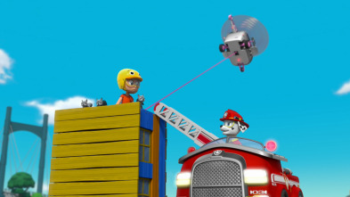 Imagen de La patrulla... (T6): La patrulla salva a los Turbot en el concurso de avistar aves - 1