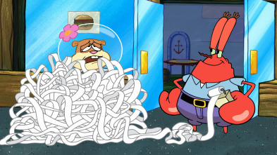 Imagen de Bob Esponja... (T13): Un lugar para las mascotas - 1