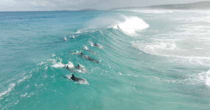 Imagen de Espiando en el océano: Sentimientos - 3