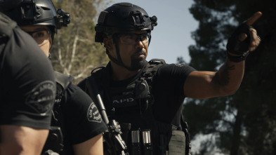Imagen de S.W.A.T.:  Los... (T6): Ep.22 Legado - 2