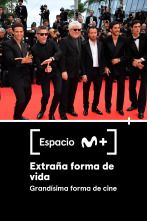 Imagen de Espacio M+ (T1): Extraña forma de vida - 1