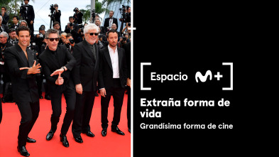 Imagen de Espacio M+ (T1): Extraña forma de vida - 2