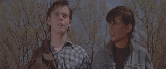 Imagen de Rebeldes - 11