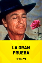 Imagen de La gran prueba - 1