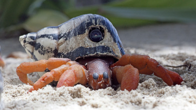 Imagen de Espiando en el océano: Pensamientos - 7