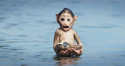 Imagen de Espiando en el océano: Pensamientos - 10