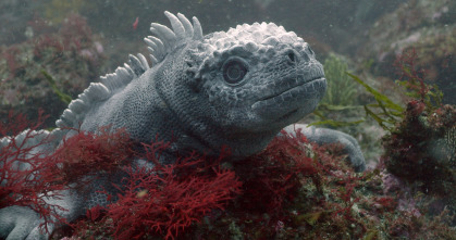 Imagen de Espiando en el océano: Problemas - 2